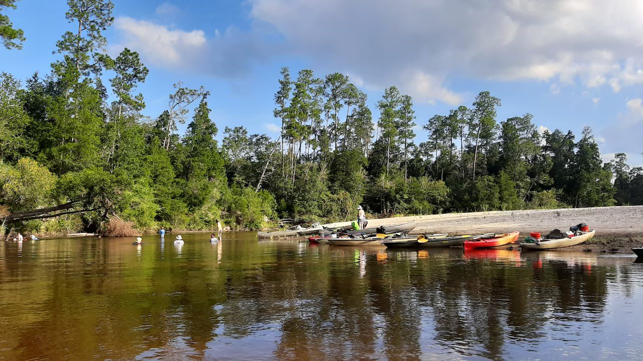 Canoes and kayaks pulled up on a wide white sandbar with campers wading in the shallows