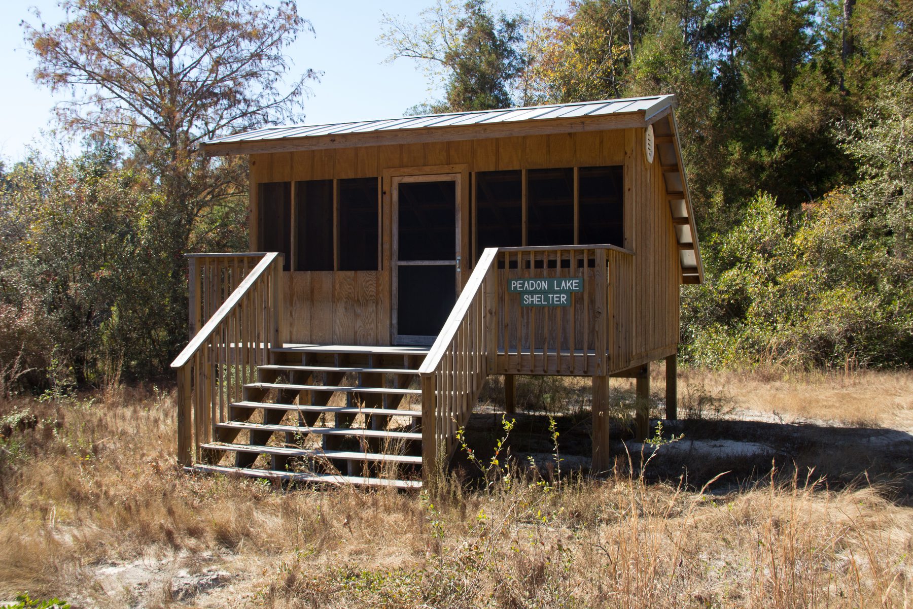 Loggerhead Creek Shelter 1, an elevated screened-in wooden shelter with a staircase, surrounded by trees